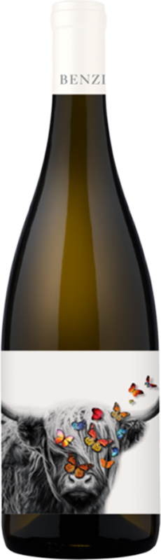 front view of bottle