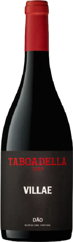 front view of bottle